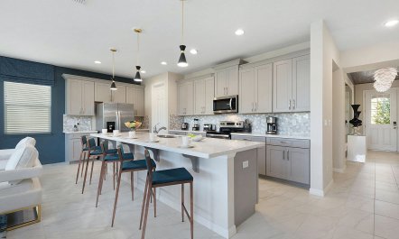 Sunshine at the Window 4