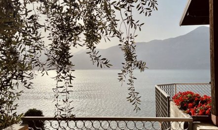 Lakeside Life 4