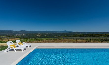 The Rose of Istria 2