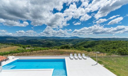 The Rose of Istria 7