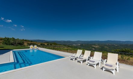 The Rose of Istria 4