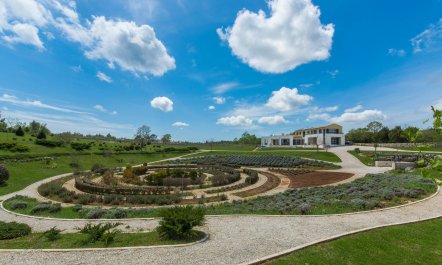 Picturesque Outlook 1