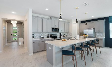 The Glimpse Of Live 6