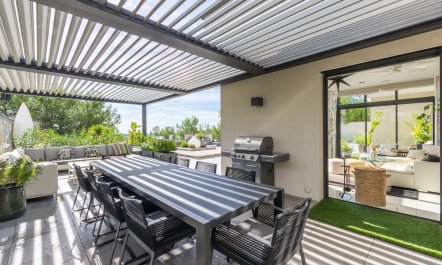 The Birds of Paradise 1