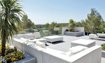 The Birds of Paradise 3