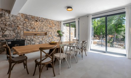 The Meadow's Serenity