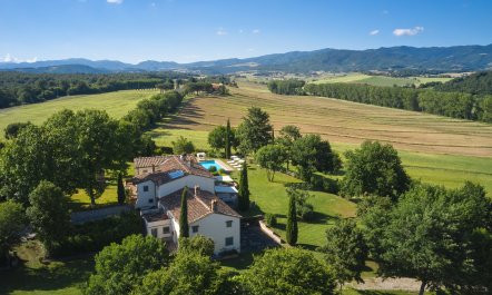 Canopy of Elegance 0