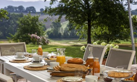 Canopy of Elegance 3