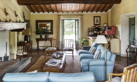 Canopy of Elegance 3