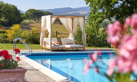 Canopy of Elegance 2