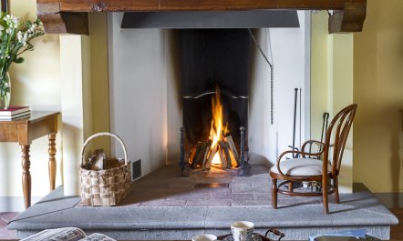 Canopy of Elegance 2