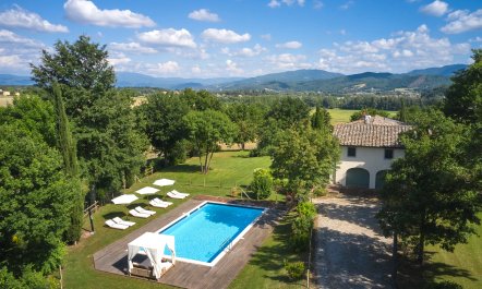 Canopy of Elegance 1