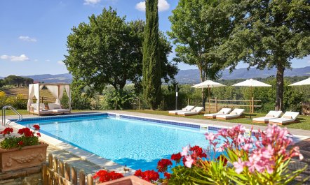 Canopy of Elegance 0