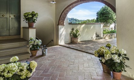 Canopy of Elegance 4