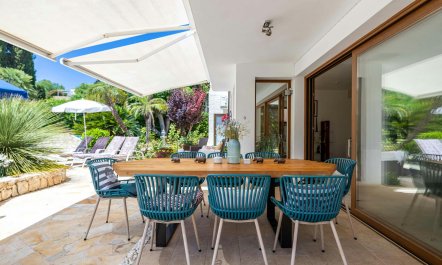 The Aquamarine Dolphin 1