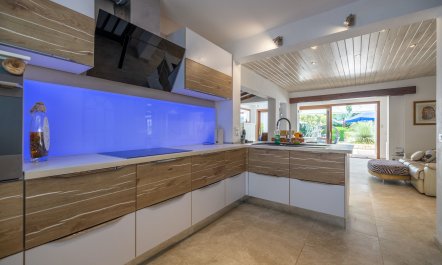 The Aquamarine Dolphin 2