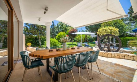 The Aquamarine Dolphin 0