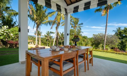 The Mirrored Meadows 6