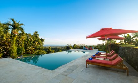 The Mirrored Meadows