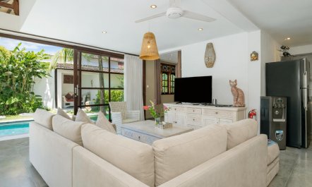 A Splash of Wisteria