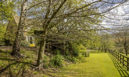 Sweetness & Lightness 1