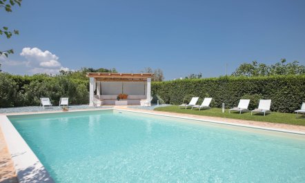 Grape of Trulli 2