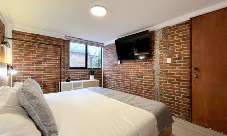 Cosy Coyoacan Escape 2