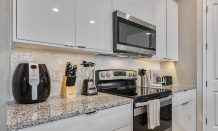 Sunshine Surrender 4