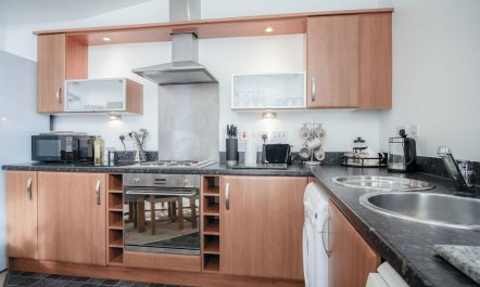 The Shrinking Violet 1