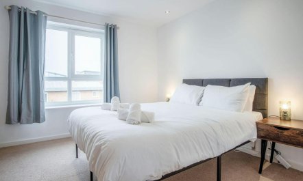 The Shrinking Violet 5