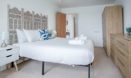 The Shrinking Violet 3