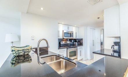 Dolphin Green 8