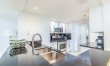 Dolphin Green 8