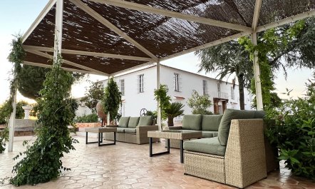 Mountains & Meadows 0