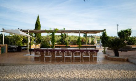 Mountains & Meadows 1