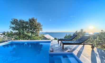 The Poolside Palm