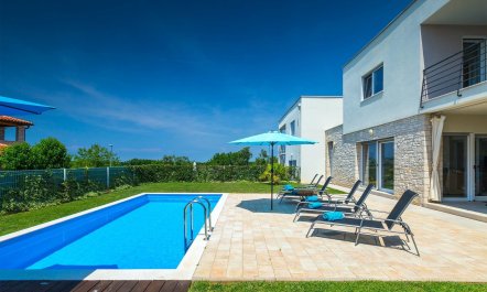 Sunflowers on the Shore 1