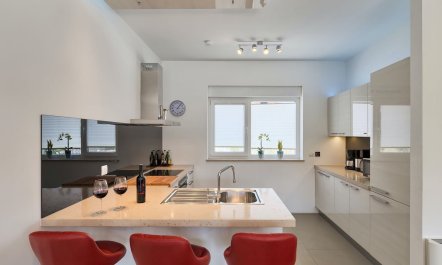 Sunflowers on the Shore 6