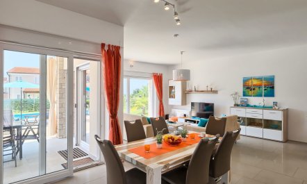 Sunflowers on the Shore 5