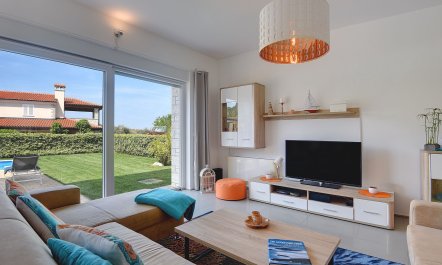 Sunflowers on the Shore 3