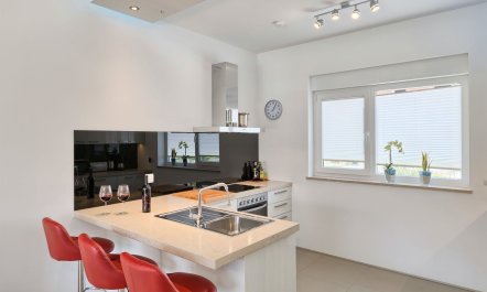 Sunflowers on the Shore 7