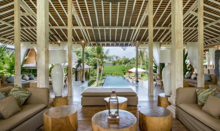 Paddy Fields Vista 4