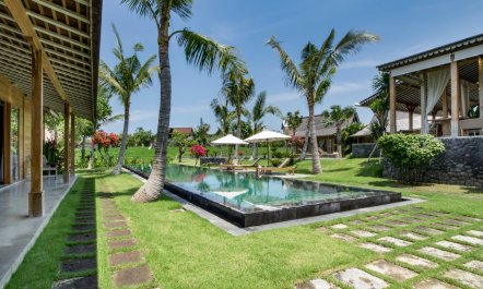 Paddy Fields Vista 2