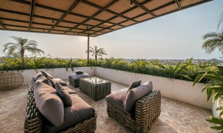 The Rice Field Dream