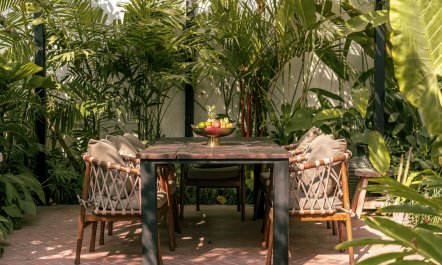 The Rice Field Dream 1