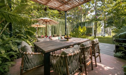 The Rice Field Dream 2