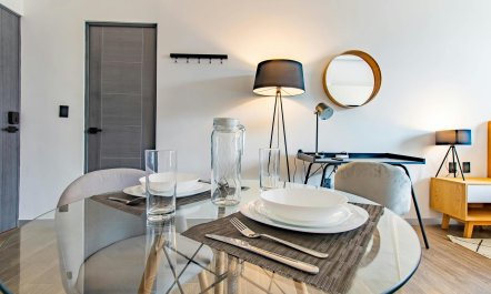 Mexico City Hideaway 1