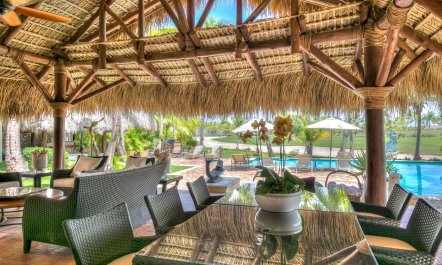 The Garden of Palms 2