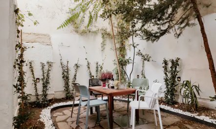 A Turkish Oasis 1