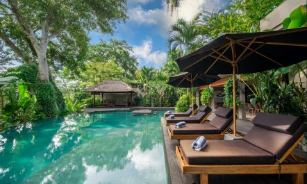 Blue Waters & White Trees